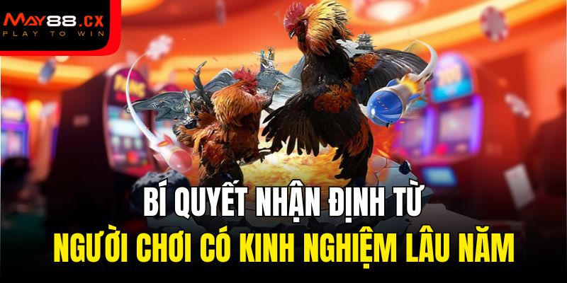 Bí quyết nhận định từ người chơi có kinh nghiệm lâu năm