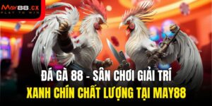 đá gà 88