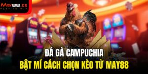 đá gà Campuchia