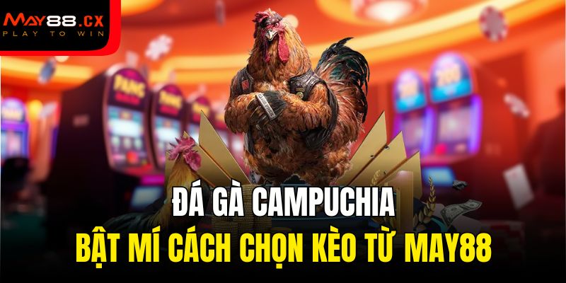 đá gà Campuchia
