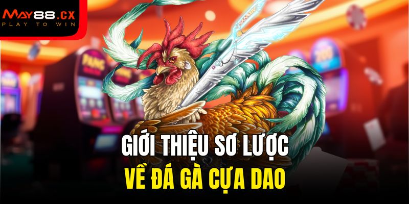 Giới thiệu sơ lược về đá gà cựa dao